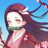 Nezuko Demon Slayer Anime paint by numbers