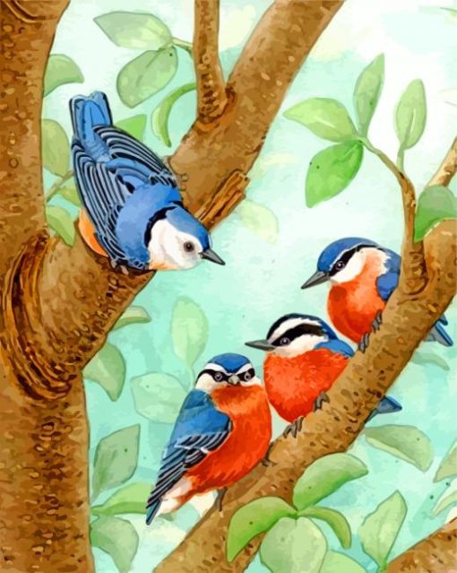 Nuthatch Birds paint by numbers