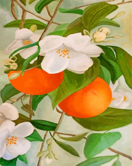 Orange Tree And Blossoms paint by numbers