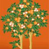 Orange Tree Illustration paint by numbers