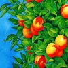 Orange Tree Plant paint by numbers