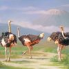 Ostrich Birds paint by numbers