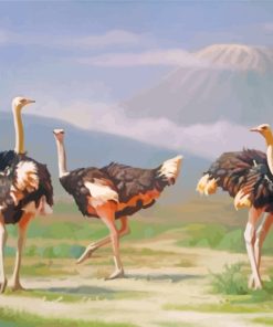 Ostrich Birds paint by numbers