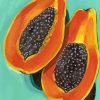 Papaya Fruit Art paint by numbers