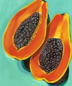 Papaya Fruit Art paint by numbers