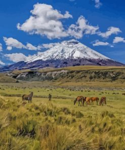 Cotopaxi National Park Quito paint by numbers