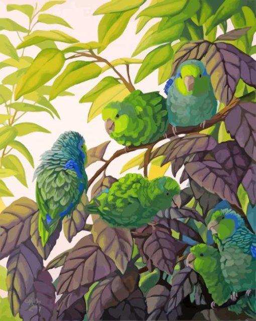 Parrotlet Birds paint by numbers