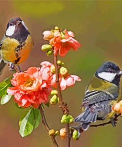 Parus Birds paint by numbers