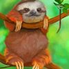 Sloth Animal paint by numbers