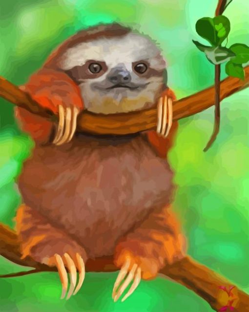 Sloth Animal paint by numbers