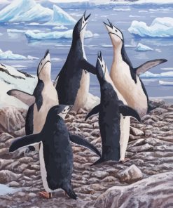 Polar Penguins Birds paint by number