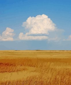 Horizon Prairie paint by numbers