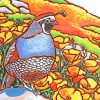 Quail Bird Art paint by numbers