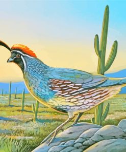 Quail Bird paint by numbers