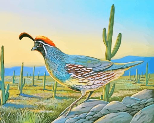 Quail Bird paint by numbers