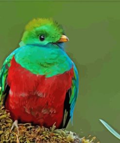 Quetzal Green Bird paint by numbers