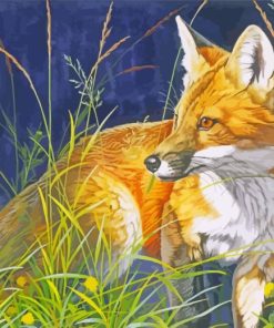 Red Fox paint by numbers