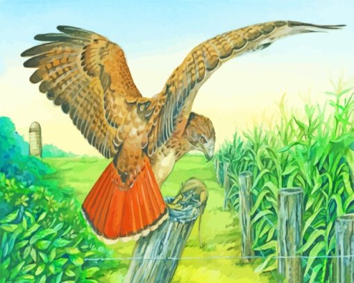 Red-tailed Hawk Bird Flying paint by numbers