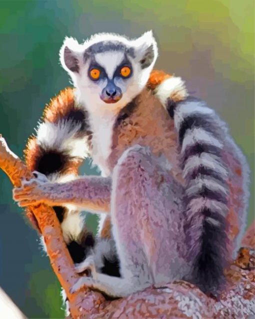 Ring-Tailed Lemur paint by numbers