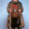 Rubeus-Hagrid-Harry-Potter-paint-by-numbers