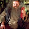 Rubeus Hagrid And Dragon Meat paint-by-number