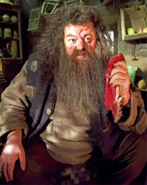 Rubeus Hagrid And Dragon Meat paint-by-number
