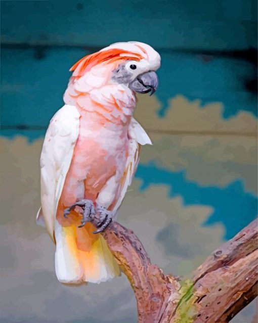 Salmon Crested Cockatoo Bird paint by numbers