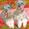 Schnauzer Dogs paint by numbers