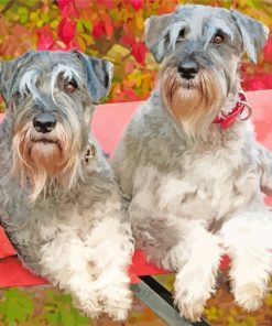 Schnauzer Dogs paint by numbers