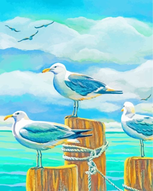 Seagull Birds paint by numbers