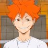 Haikyu Shoyo Hinata Player paint by numbers