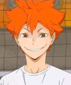 Haikyu Shoyo Hinata Player paint by numbers