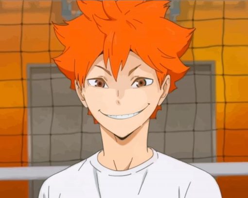 Haikyu Shoyo Hinata Player paint by numbers