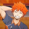 Haikyu Shoyo Hinata paint by numbers