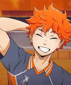 Haikyu Shoyo Hinata paint by numbers