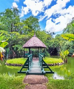 Sir Seewoosagur Ramgoolam Botanical Garden Mauritius paint by numbers