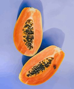 Sliced Papaya Fruit paint by numbers