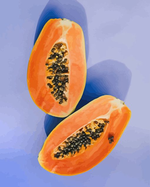 Sliced Papaya Fruit paint by numbers