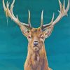 Stag Deer Animal paint by numbers