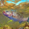 Striped Bass Fish Underwater paint by numbers