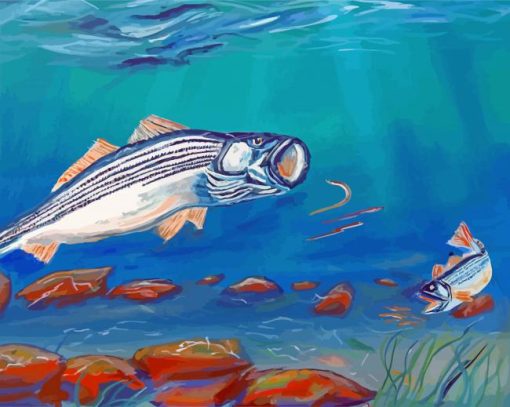 Striped Bass Underwater Painting paint by numbers