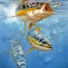 Underwater Striped Bass Painting paint by numbers