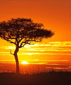 Sunrise Tree Silhouette paint by numbers