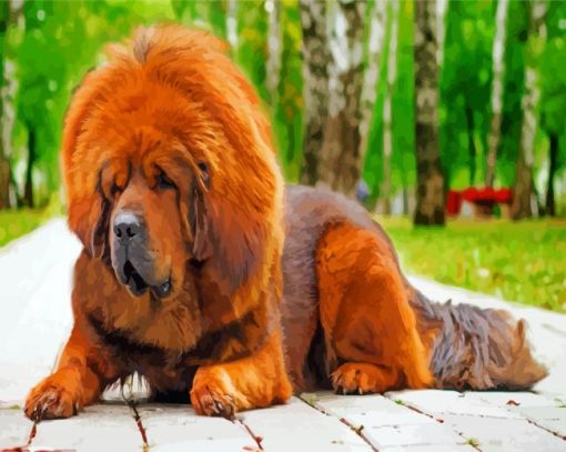 Tibetan Mastiff paint by numbers