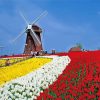 Tsurumi Ryokuchi Park Windmill Japan paint by numbers