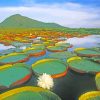 Water Giant Lilies Brazil paint by numbers