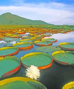 Water Giant Lilies Brazil paint by numbers