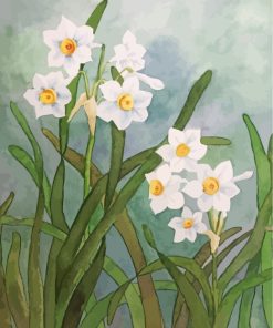 White Daffodil Flowers paint by numbers