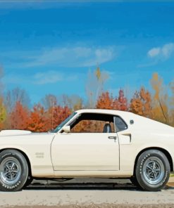 White Ford Mustang Car paint by numbers