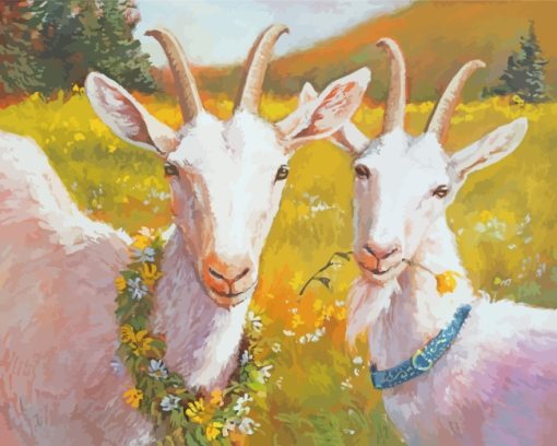 Two White Goats paint by numbers